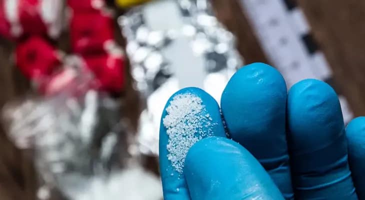 ভারতে মাদক ছড়াতে সৌদিতে কর্মরত পরিযায়ী শ্রমিকদের টোপ ডি-কোম্পানির, সতর্ক গোয়েন্দারা