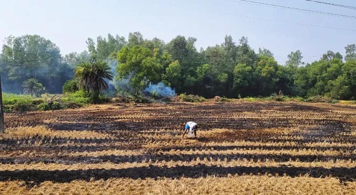 প্রশাসনের কড়া নিষেধ সত্ত্বেও নাড়া পোড়ানো চলছে রমরমিয়ে, দূষণে জেরবার বাঁকুড়াবাসী