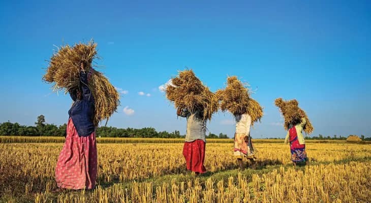 ভার্চুয়াল বৈঠকে কৃষি উন্নয়ন নিয়ে বাংলার ভুয়সী প্রশংসা কেন্দ্রীয় কৃষি মন্ত্রী শিবরাজ সিং চৌহানের