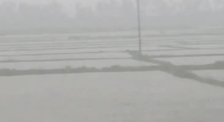 ঘূর্ণিঝড় দিতওয়া: ল্যান্ডফলের সম্ভাবনা কম, তামিলনাড়ুর চেঙ্গলপাট্টুতে ভারী বৃষ্টি
