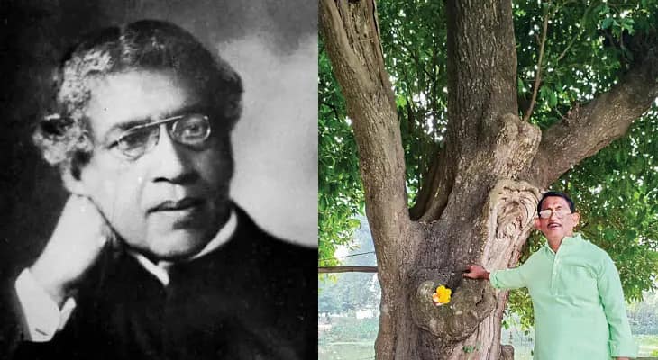 জগদীশচন্দ্র বসু বসিয়েছিলেন দু’টি বকুল, গাছের কোটরে ফেলা হয় মদের বোতল-পোড়া সিগারেট! ফুলেশ্বরের কালসাপায় মৃতপ্রায় ঐতিহাসিক বৃক্ষ