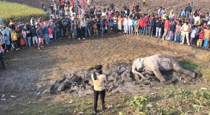 ট্রেনের ধাক্কায় দু’টি হাতির মৃত্যু ধূপগুড়িতে, চাঞ্চল্য