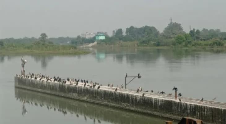 শীত পড়লেও ফুলবাড়িতে পরিযায়ী পাখি হাতেগোনা
