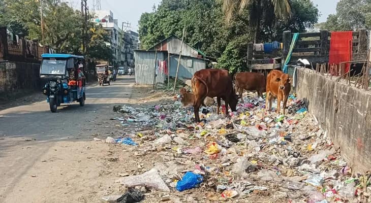 জলপাইগুড়ি শহরে নিয়মিত সাফাই হচ্ছে না, রবীন্দ্র ভবনের সামনের অংশ কার্যত অস্থায়ী ডাম্পিং গ্রাউন্ডের চেহারা নিয়েছে