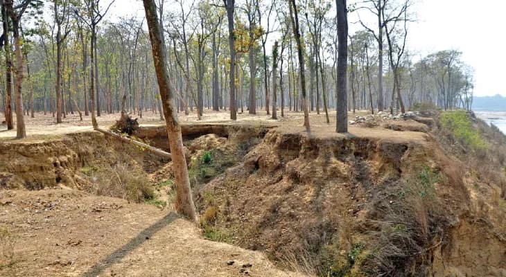 আরামবাগ ও গোঘাটের ৩ বনাঞ্চলে শর্তসাপেক্ষে পিকনিকের অনুমোদন