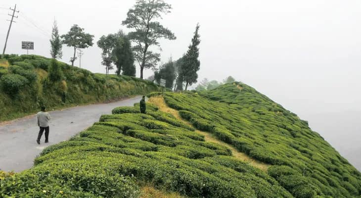 বাজেট মেনে মধুচন্দ্রিমার খোঁজ