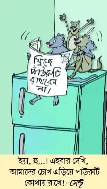 মজারু