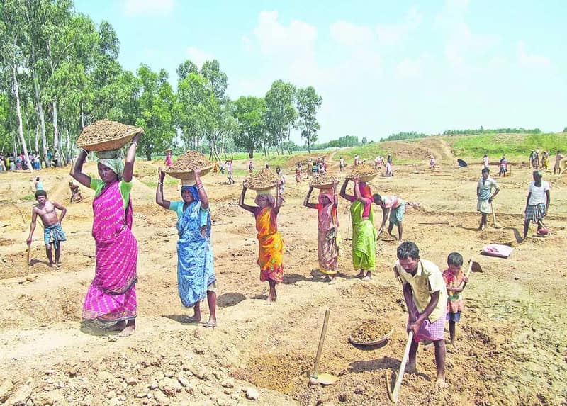 মনরেগা বাতিল করে গ্রামীণ কর্মসংস্থানের জন্য একটি বিকল্প আইন চালু করার ভাবনা কেন্দ্রের: সূত্র