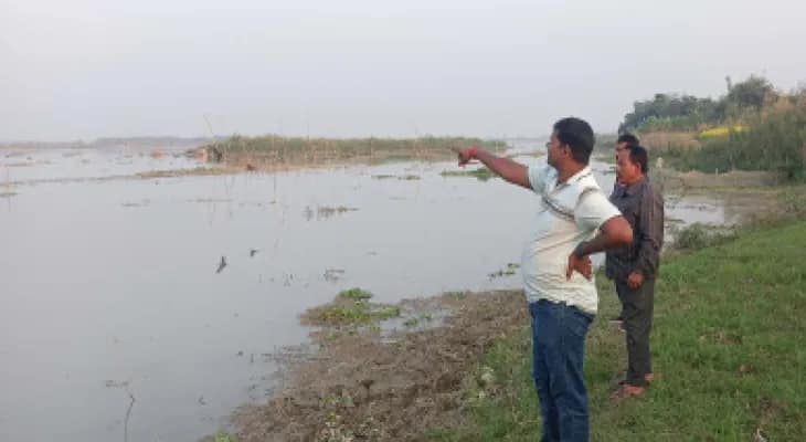 কাটোয়ায় মৃত ডলফিন উদ্ধারে তল্লাশি বন দপ্তরের
