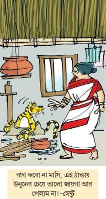 মজারু