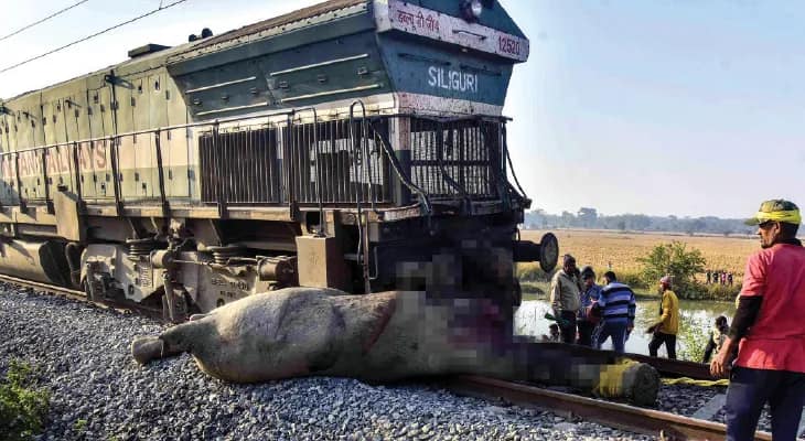 রাজধানীর ধাক্কায় ছিন্নভিন্ন ৭ হাতি, অসমে লাইনচ্যুত ইঞ্জিন ও ৫ কামরা