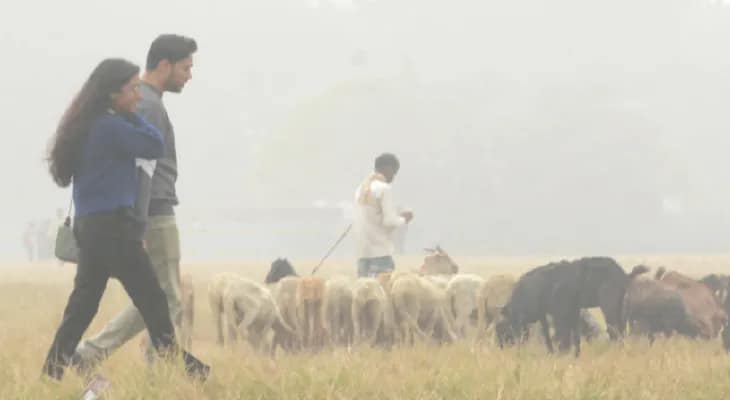 উত্তুরে হাওয়ার পাশাপাশি পুবালি বাতাস ঢোকায় বাড়ছে ঘন কুয়াশা