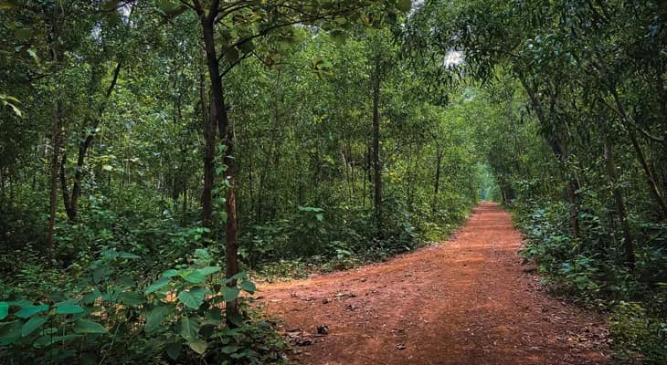 বর্ষবরণে ঝাড়গ্রামের হোটেল, রিসর্ট ও হোম স্টে হাউসফুল, মেনুতে পিঠে, লাল পিঁপড়ের চাটনি