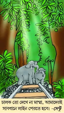 মজারু