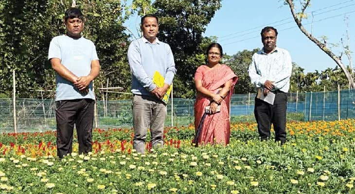 গোটা গ্রামেই বছরভর ফুলের চাষ, ডাঙাপাড়া এখন আর্থিকভাবে স্বনির্ভর