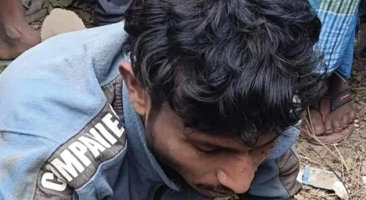 মালদহের হবিবপুর সীমান্তে গরু পাচারের ছক বানচাল করলো বিএসএফ, গ্রেফতার ১