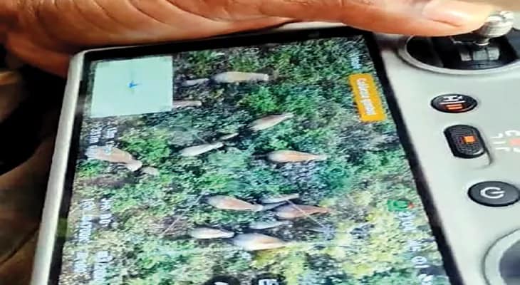 হাতিপালের হানা, বড়দিনেও ভয়ে ঘরবন্দি বহু গ্রামের মানুষ, শুরু ড্রোন-নজরদারি