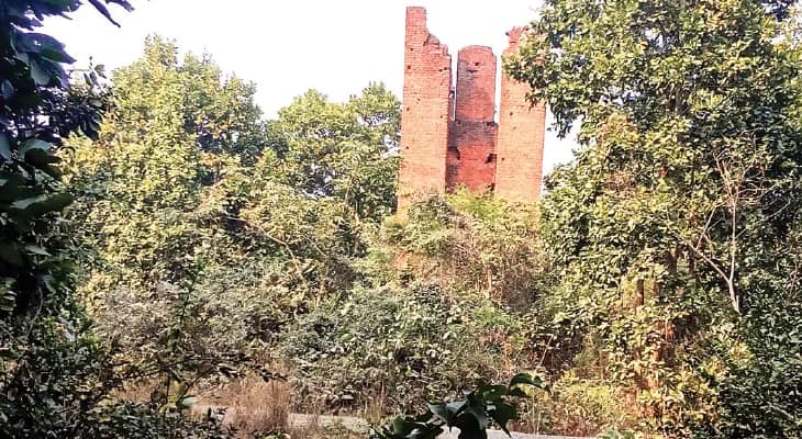 নির্জন জঙ্গলে পাখির কূজন, শীত গায়ে মেখে পর্যটকদের ভিড় ভাল্কি মাচানে