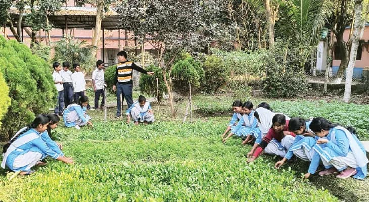 বানবোল হাইস্কুলে দেড় বিঘা বাগানে সবজি, ফুল-ফল ফলাচ্ছে পড়ুয়ারা
