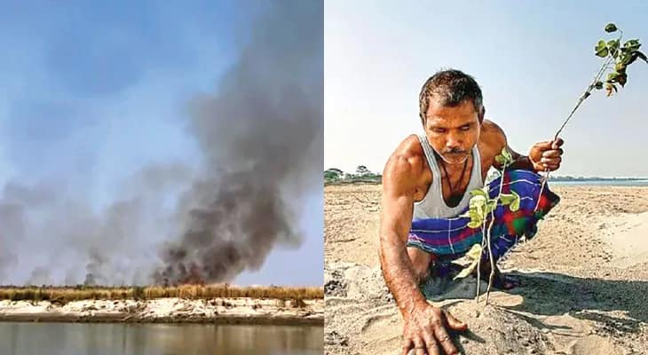 অসমে ‘ফরেস্ট ম্যান অব ইন্ডিয়া’র বনাঞ্চলে আগুন লাগাল দুষ্কৃতীরা