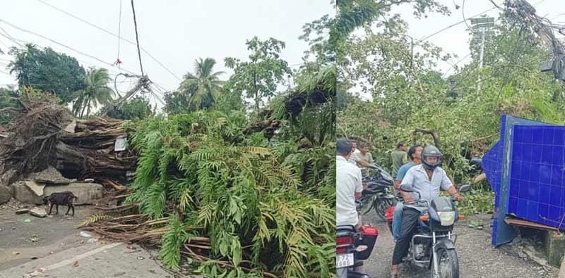 প্রবল ঝড়ে জলপাইগুড়ির খড়িয়া পঞ্চায়েতের কোরানিপাড়া এলাকায় রাস্তার উপর ভেঙে পড়েছে গাছ, উপরে গিয়েছে বিদ্যুতের খুঁটি, এলাকা বিদ্যুৎ বিচ্ছিন্ন