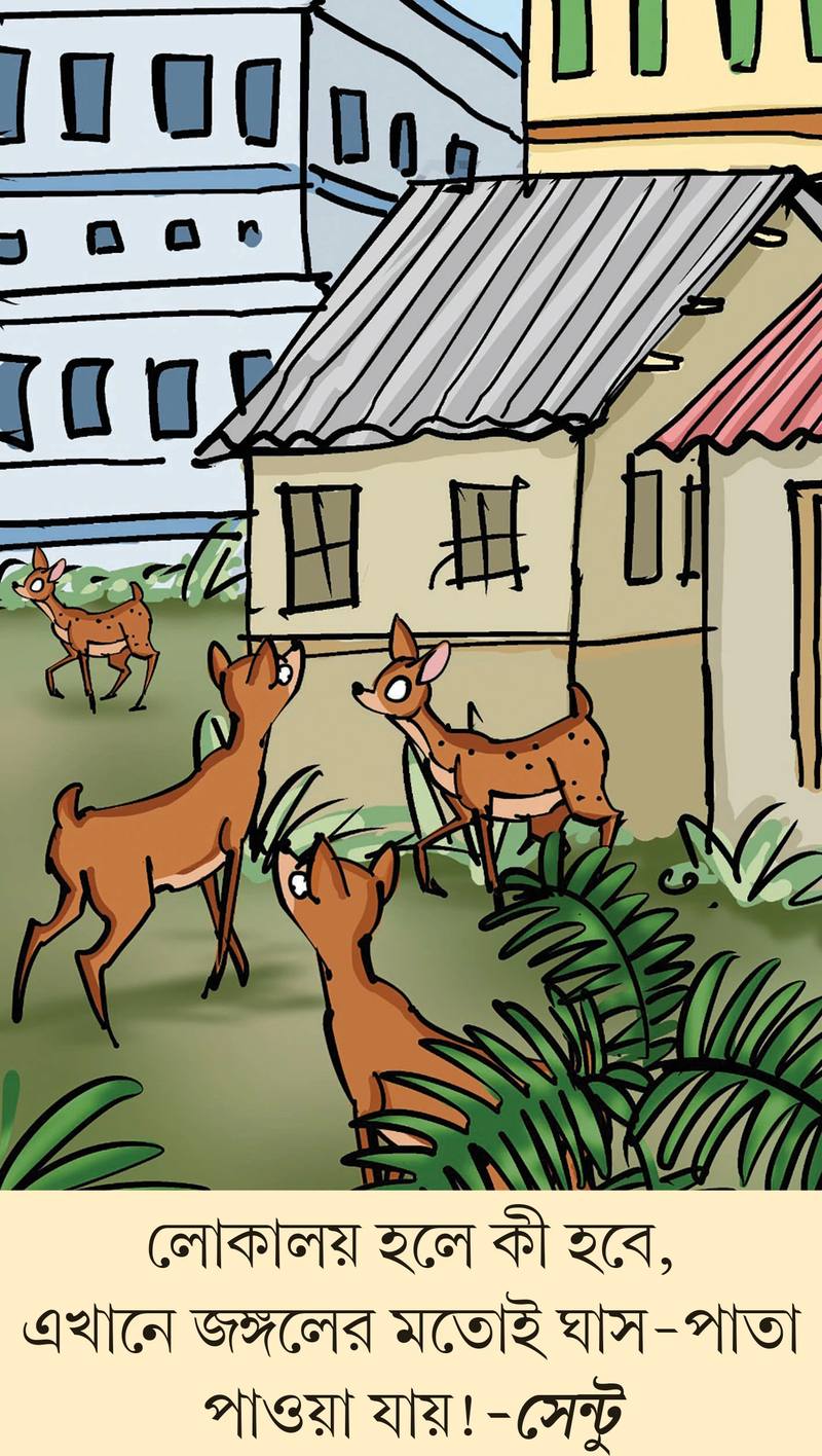 মজারু