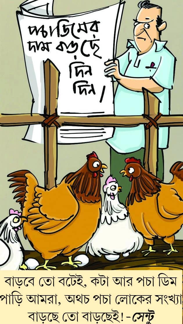 মজারু