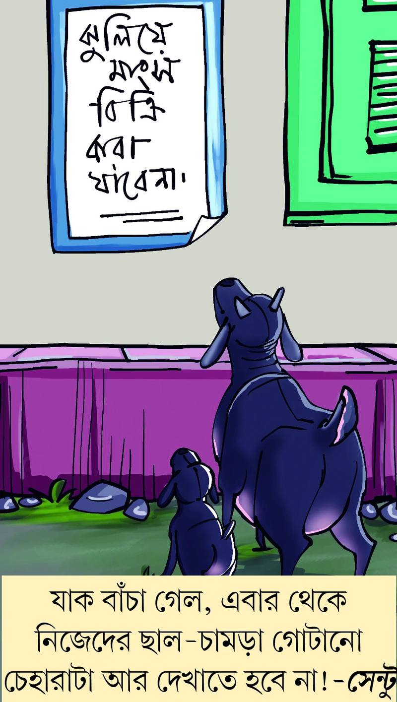 মজারু