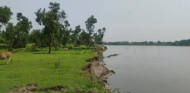 আত্রেয়ী নদীর ভাঙনে নিশ্চিহ্ন হওয়ার পথে ডাঙ্গি ফরেস্ট