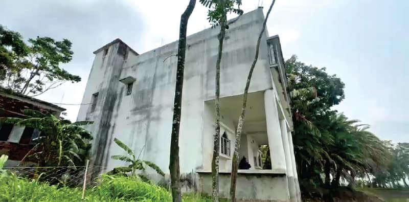পিঠে নয়, রাত হলেই মাছ ভাজার নাম করে মহিলাদের ডাকা হত দেগঙ্গার বাগানবাড়িতে