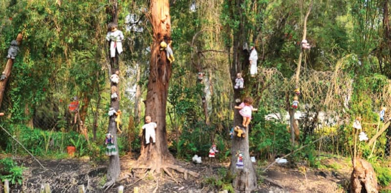মেক্সিকোর  পুতুল দ্বীপ