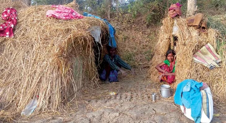 কাটোয়া: মাঠে পড়ে থাকা ধান কুড়িয়ে পেট চলে,  ঠান্ডায় খোলা মাঠে কুঁড়েতে দিনযাপন