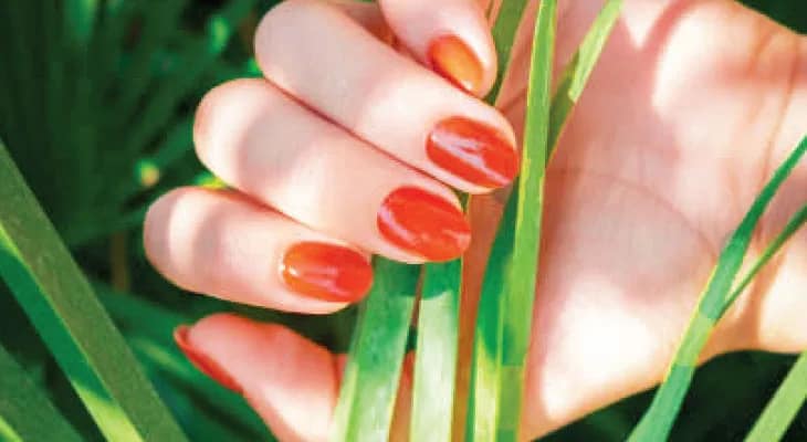 ঘরোয়া উপায়ে হাতের যত্ন