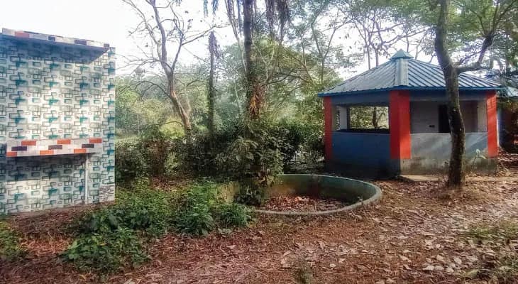 সরকারি খরচে তৈরি শিশু উদ্যান ও পিকনিক স্পট ভরেছে আগাছায়, অসামাজিক কাজকর্মের আখড়া