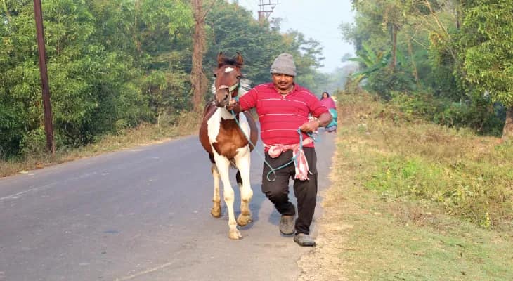 রাজমিস্ত্রি রাজুর মেজাজ বাদশাহি দৌড়বীর ঘোড়া কিনে নাম রেখেছেন সুলতান
