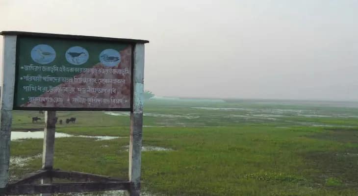 দেখা নেই অতিথি পাখির, আহিরণ বিল শুনশান, সূতিতে মন খারাপ বাসিন্দাদের