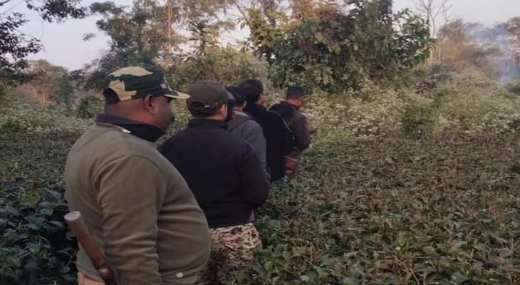 বন্যপ্রাণীর হামলায় জলপাইগুড়ির রাজগঞ্জে মৃত ১, জখম ২