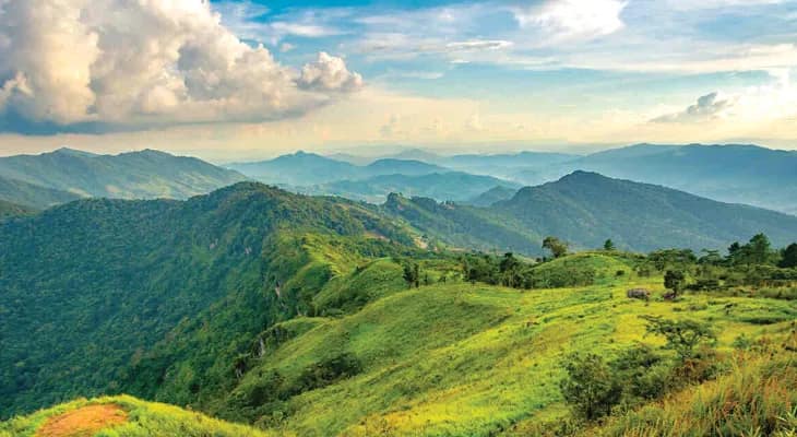 ডুডুমার ডাকে  দেওমালি