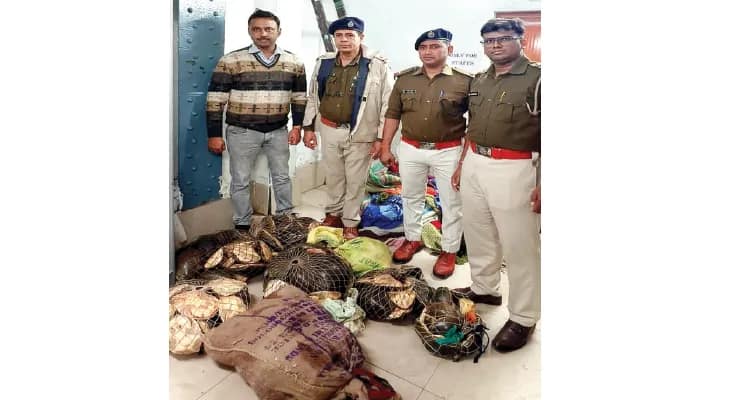 হাওড়া স্টেশনে ৮টি ব্যাগ থেকে উদ্ধার ১৬৫ ‘ফ্ল্যাপশেল’ কচ্ছপ