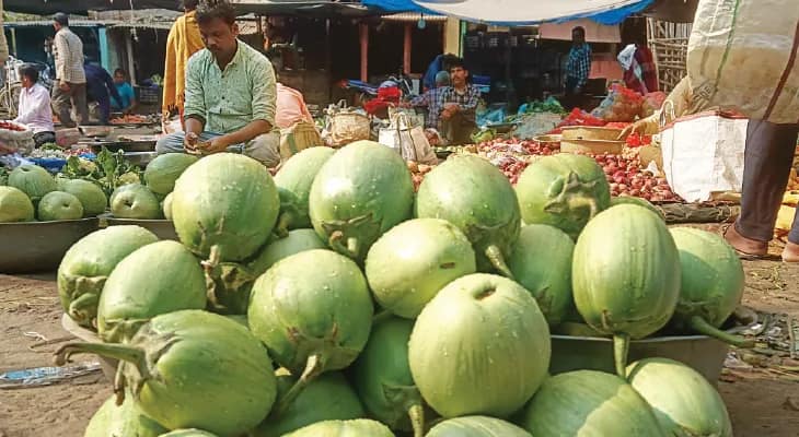 আলু-পেঁয়াজ নিয়ন্ত্রণে থাকলেও ডিম, বিঘোরের বেগুনের দামে হাতে ছ্যাঁকা