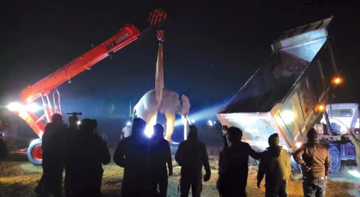 মধ্যরাতে রাজবাড়িতে হাতির হানা, ঘুমপাড়ানি গুলি ছুড়ে কাবু করা হল গজরাজকে