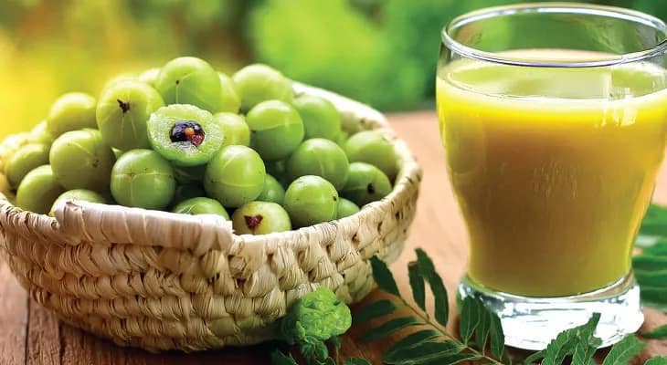 কেন খাবেন আমলকী