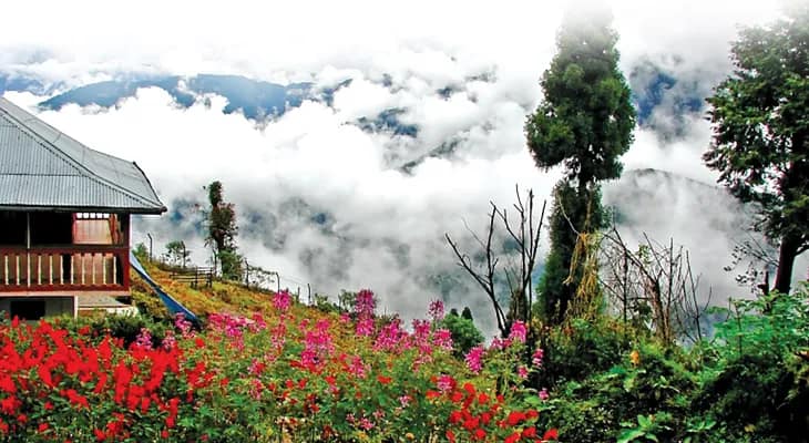 মেঘ কুয়াশায় মোড়া লাভা লোলেগাঁও