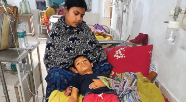 ঘাটালের ১ ও ২ নম্বর ওয়ার্ডে হনুমানের তাণ্ডব, জখম ৭ জন