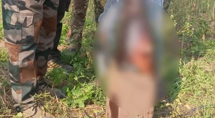 কাটোয়ায় ভাগীরথীর তীরে মৃত গাঙ্গেয় ডলফিন উদ্ধার