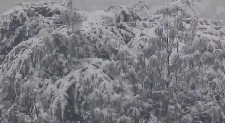 জম্মু ও কাশ্মীরের ডোডায় তুষারপাত