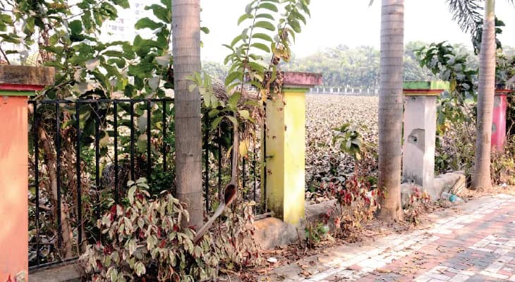 রাত নামলে দেদার চুরি, হাওড়ার ইকো পার্ক এখন মদ্যপ ও দুষ্কৃতীর আঁতুরঘর