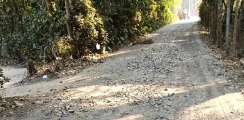 দেগঙ্গায় হাসপাতালে যাওয়ার  রাস্তা বেহাল, সারাইয়ের দাবি