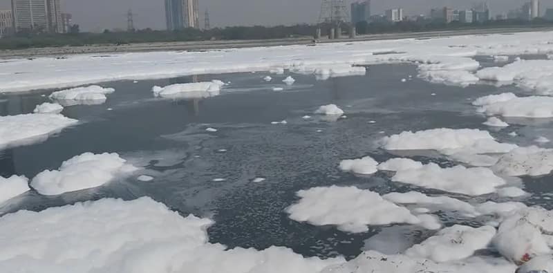 দিল্লির কালিন্দী কুঞ্জে যমুনা নদীতে ভাসছে সাদা ফেনা