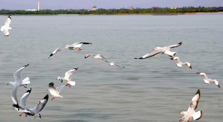 গঙ্গাসাগর সেতু প্রকল্পে এবার যুক্ত  হচ্ছে ডেনমার্কের বিশেষজ্ঞ সংস্থা, লক্ষ্য নিরাপত্তা